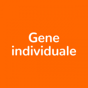 Gene individuale (25)